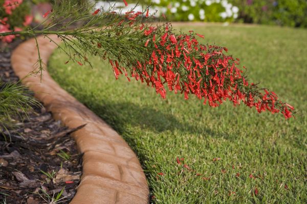 Brick Edging in Michigan City
